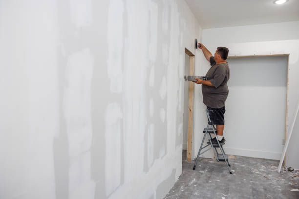 Best Black Mold Removal  in Wood Village, OR