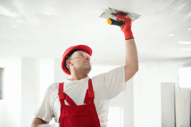 Best Mold Removal for HVAC Installations  in Wood Village, OR
