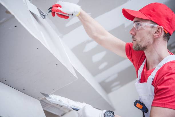 Professional Mold Removal in Wood Village, OR